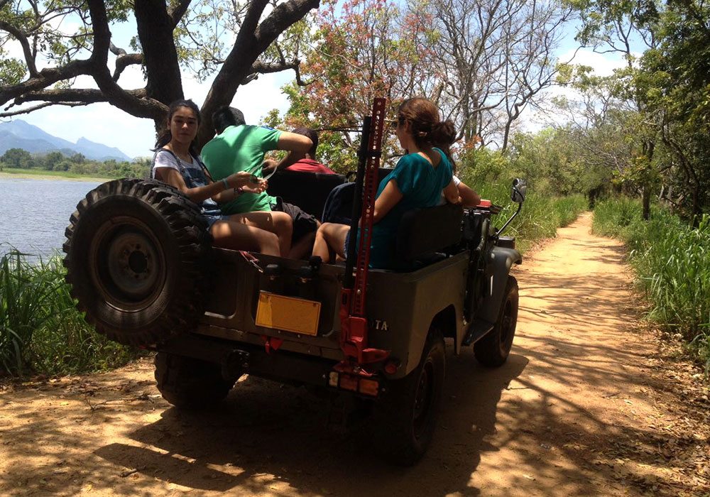 Sri Lanka - Sigiriya Jeep Tours - Authentic Local Experience in Sigiriya, Sri Lanka - Sigiriya Village Tours - Travel around sigiriya - Open top jeep tours in Sigiriya, Sri Lanka - Sigiriya Village Tours on Jeep
