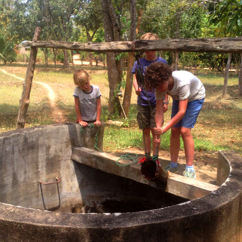 Sri Lanka - Sigiriya Jeep Tours - Authentic Local Experience in Sigiriya, Sri Lanka - Sigiriya Village Tours - Travel around sigiriya - Open top jeep tours in Sigiriya, Sri Lanka - Sigiriya Village Tours on Jeep
