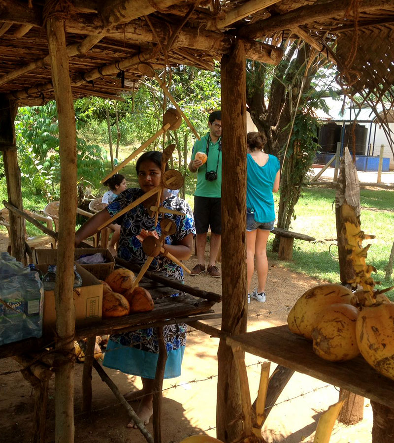 Sri Lanka - Sigiriya Jeep Tours - Authentic Local Experience in Sigiriya, Sri Lanka - Sigiriya Village Tours - Travel around sigiriya - Open top jeep tours in Sigiriya, Sri Lanka - Sigiriya Village Tours on Jeep
