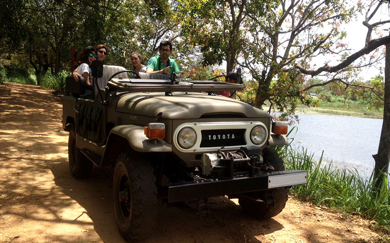 Sri Lanka - Sigiriya Jeep Tours - Authentic Local Experience in Sigiriya, Sri Lanka - Sigiriya Village Tours - Travel around sigiriya - Open top jeep tours in Sigiriya, Sri Lanka - Sigiriya Village Tours on Jeep