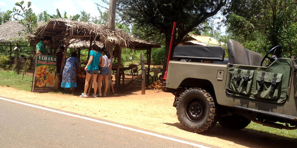 Sri Lanka - Sigiriya Jeep Tours - Authentic Local Experience in Sigiriya, Sri Lanka - Sigiriya Village Tours - Travel around sigiriya - Open top jeep tours in Sigiriya, Sri Lanka - Sigiriya Village Tours on Jeep