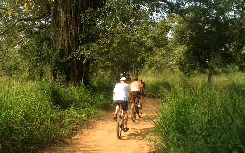 Cycling in Sigiriya - Cycle Tours in Sri Lanka - Cycling Holidays in Sri Lanka - Sri Lanka Cycling Holidays - Sri Lanka Cycling Trips - Cycling Holidays - Cycle Trip in Sigiriya - Village Cycling trips in Sigiriya - Sigiriya Village Cycling Trips - Sigiriya Cycling