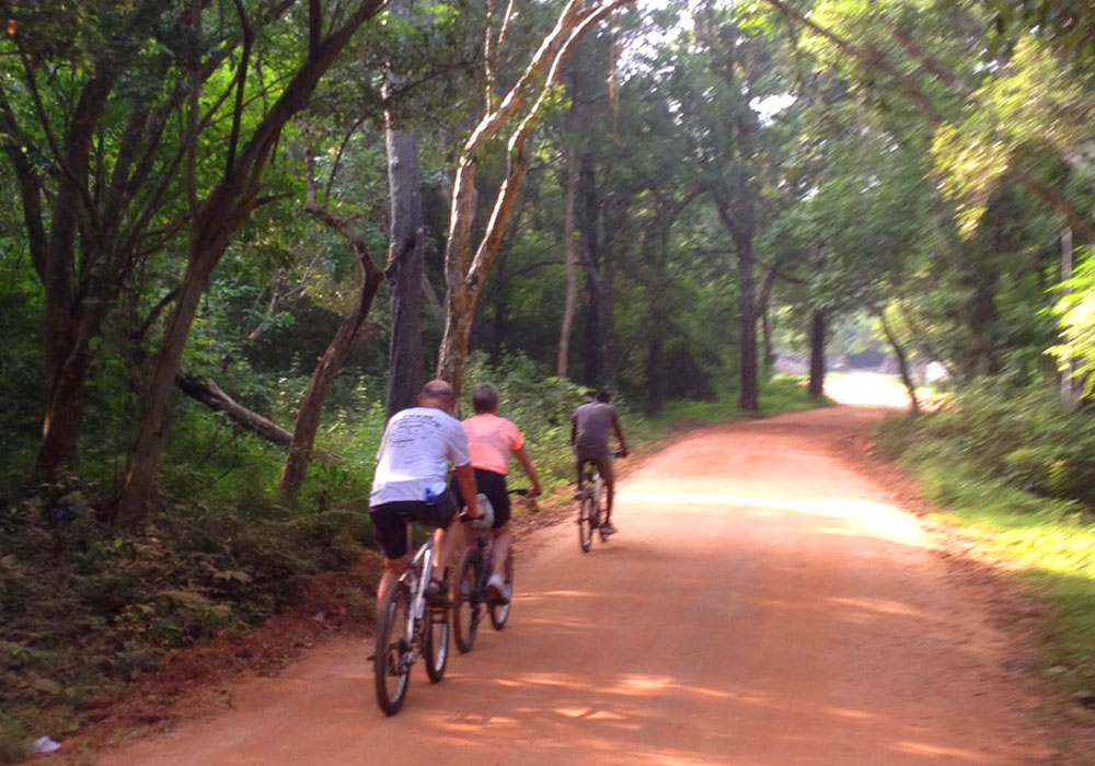 Cycling in Sigiriya - Cycle Tours in Sri Lanka - Cycling Holidays in Sri Lanka - Sri Lanka Cycling Holidays - Sri Lanka Cycling Trips - Cycling Holidays - Cycle Trip in Sigiriya - Village Cycling trips in Sigiriya - Sigiriya Village Cycling Trips - Sigiriya Cycling