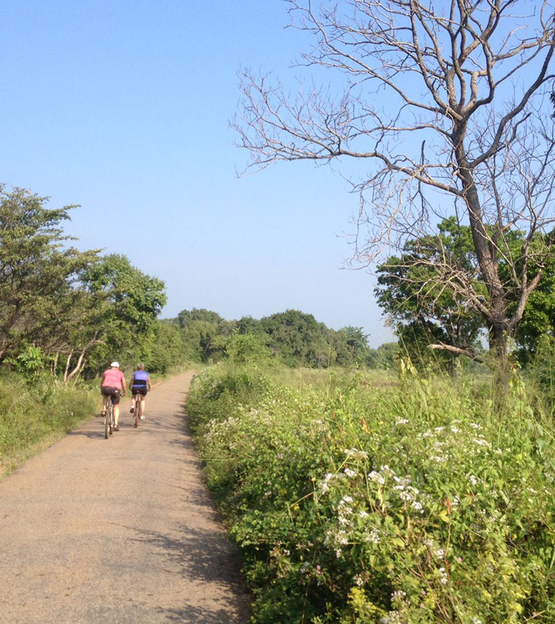Cycling in Sigiriya - Cycle Tours in Sri Lanka - Cycling Holidays in Sri Lanka - Sri Lanka Cycling Holidays - Sri Lanka Cycling Trips - Cycling Holidays - Cycle Trip in Sigiriya - Village Cycling trips in Sigiriya - Sigiriya Village Cycling Trips - Sigiriya Cycling