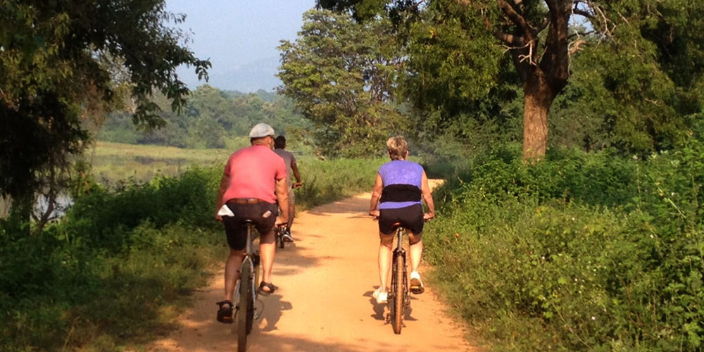 Cycling in Sigiriya - Cycle Tours in Sri Lanka - Cycling Holidays in Sri Lanka - Sri Lanka Cycling Holidays - Sri Lanka Cycling Trips - Cycling Holidays - Cycle Trip in Sigiriya - Village Cycling trips in Sigiriya - Sigiriya Village Cycling Trips - Sigiriya Cycling