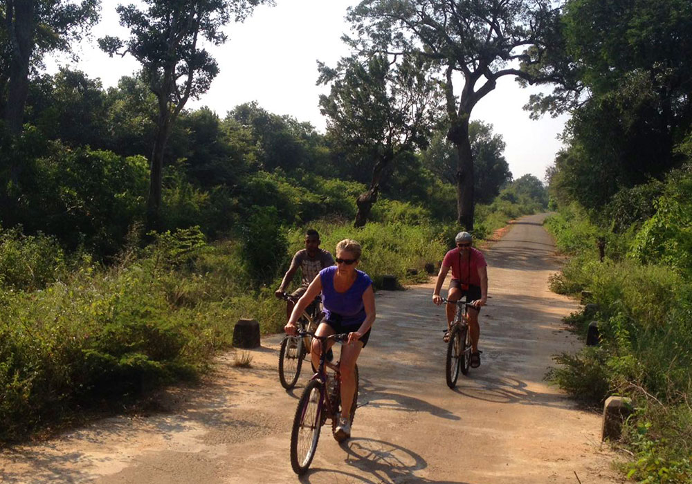 Cycling in Sigiriya - Cycle Tours in Sri Lanka - Cycling Holidays in Sri Lanka - Sri Lanka Cycling Holidays - Sri Lanka Cycling Trips - Cycling Holidays - Cycle Trip in Sigiriya - Village Cycling trips in Sigiriya - Sigiriya Village Cycling Trips - Sigiriya Cycling