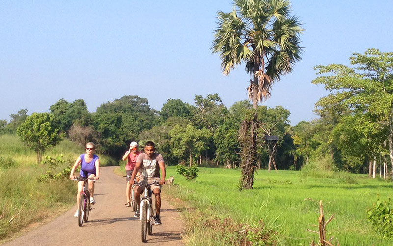 Cycling in Sigiriya - Cycle Tours in Sri Lanka - Cycling Holidays in Sri Lanka - Sri Lanka Cycling Holidays - Sri Lanka Cycling Trips - Cycling Holidays - Cycle Trip in Sigiriya - Village Cycling trips in Sigiriya - Sigiriya Village Cycling Trips - Sigiriya Cycling