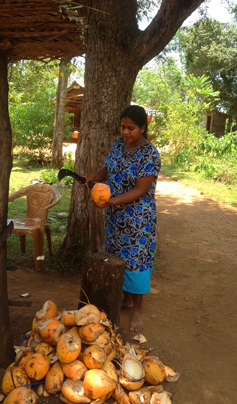 Cycling in Sigiriya - Cycle Tours in Sri Lanka - Cycling Holidays in Sri Lanka - Sri Lanka Cycling Holidays - Sri Lanka Cycling Trips - Cycling Holidays - Cycle Trip in Sigiriya - Village Cycling trips in Sigiriya - Sigiriya Village Cycling Trips - Sigiriya Cycling