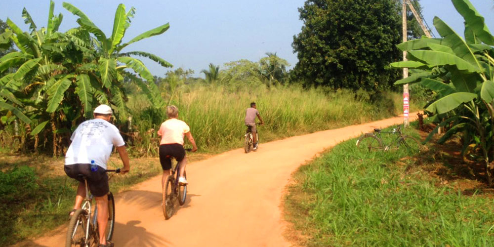 Cycling in Sigiriya - Cycle Tours in Sri Lanka - Cycling Holidays in Sri Lanka - Sri Lanka Cycling Holidays - Sri Lanka Cycling Trips - Cycling Holidays - Cycle Trip in Sigiriya - Village Cycling trips in Sigiriya - Sigiriya Village Cycling Trips - Sigiriya Cycling