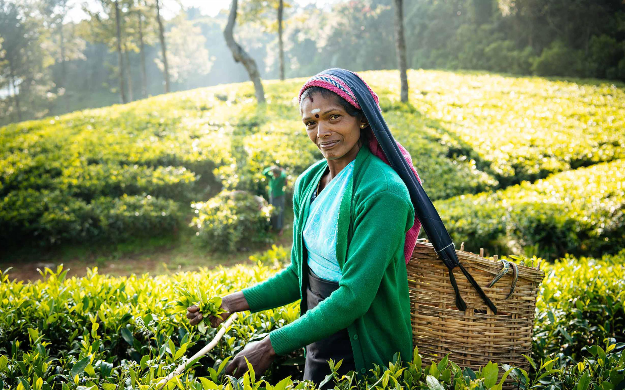 Tours in Sri Lanka - Sri Lanka tailor made holidays