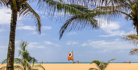 Tours in Sri Lanka - Sri Lanka tailor made holidays