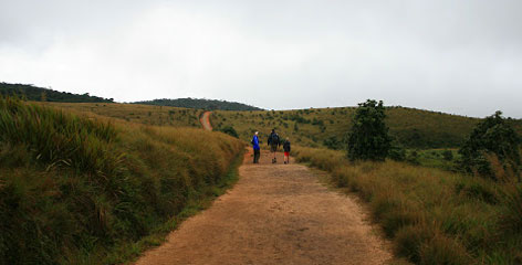 Tours in Sri Lanka - Sri Lanka tailor made holidays
