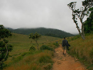 Tours in Sri Lanka - Sri Lanka tailor made holidays