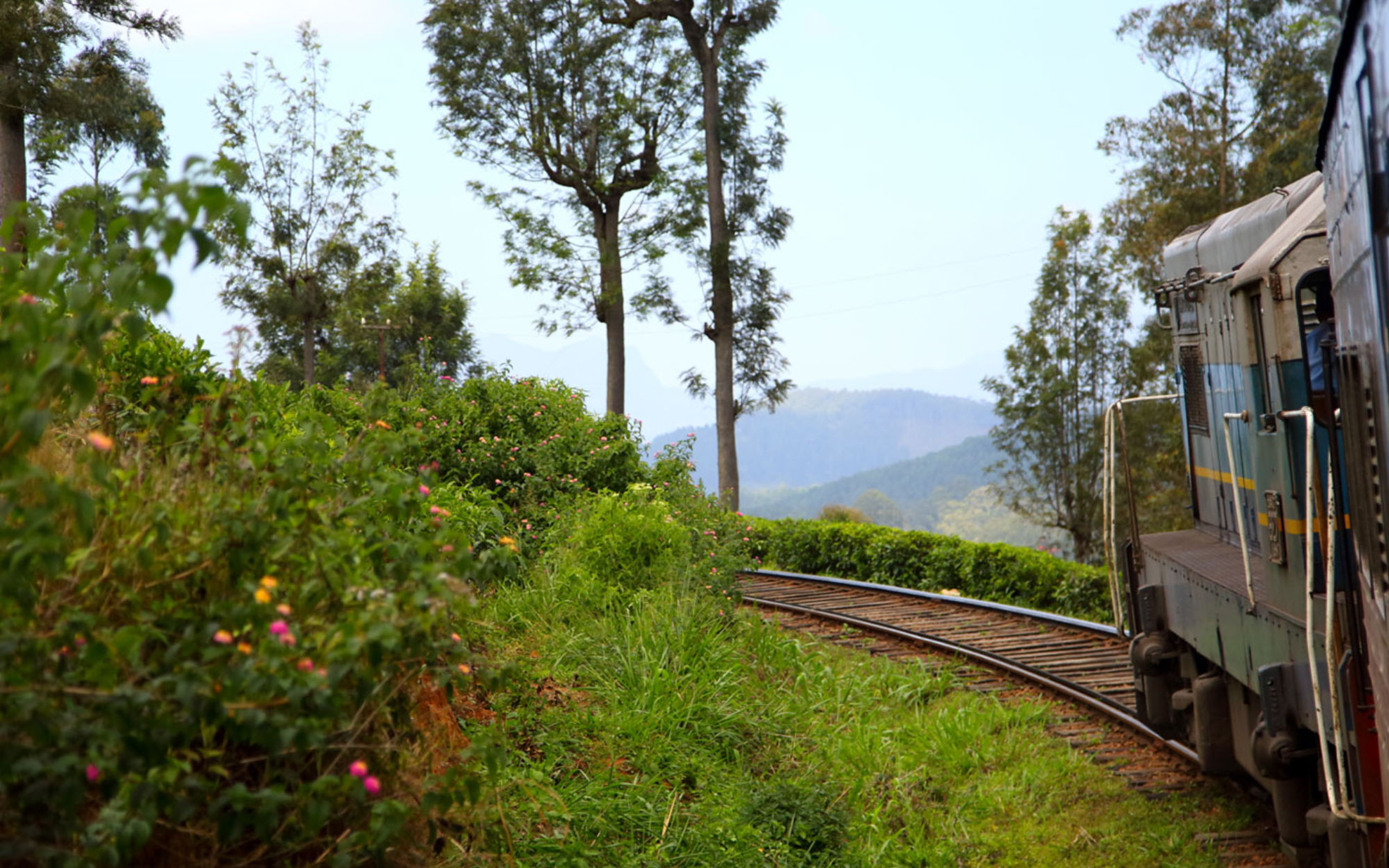Tours in Sri Lanka - Sri Lanka tailor made holidays