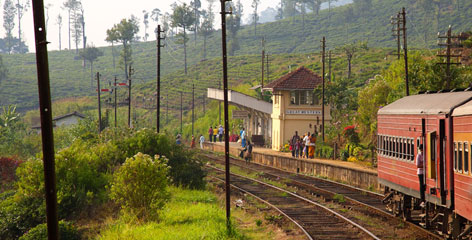 Tours in Sri Lanka - Sri Lanka tailor made holidays
