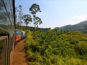 Tours in Sri Lanka - Sri Lanka tailor made holidays