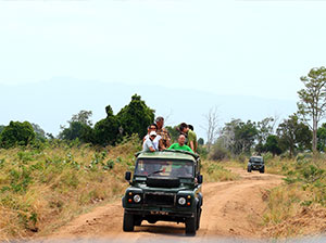 Tours in Sri Lanka - Sri Lanka tailor made holidays