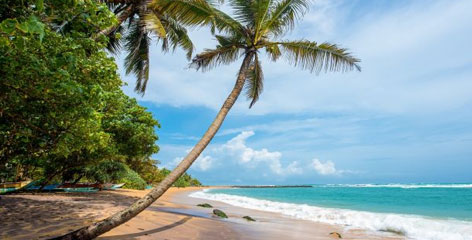 Tours in Sri Lanka - Sri Lanka tailor made holidays