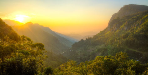 Tours in Sri Lanka - Sri Lanka tailor made holidays