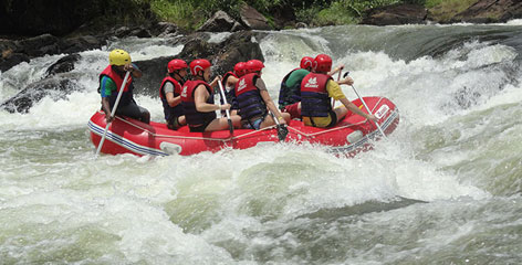 Tours in Sri Lanka - Sri Lanka tailor made holidays