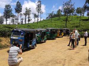 Tours in Sri Lanka - Sri Lanka tailor made holidays