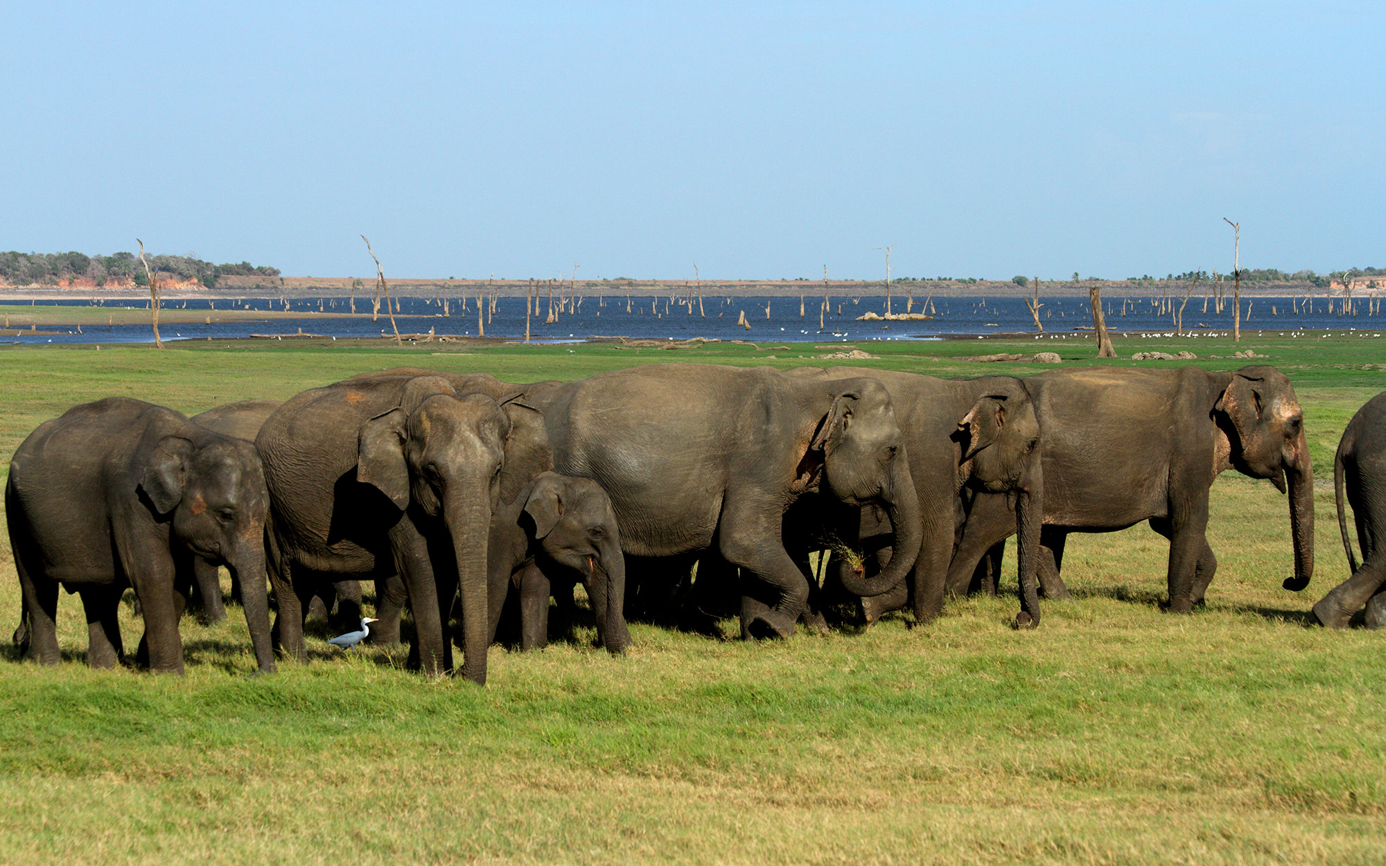 Tours in Sri Lanka - Sri Lanka tailor made holidays