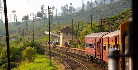 Tours in Sri Lanka - Sri Lanka tailor made holidays