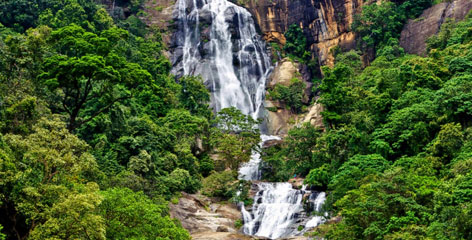 Tours in Sri Lanka - Sri Lanka tailor made holidays