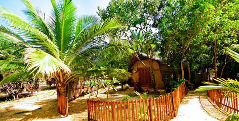 Tours in Sri Lanka - Sri Lanka tailor made holidays