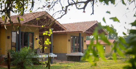 Tours in Sri Lanka - Sri Lanka tailor made holidays
