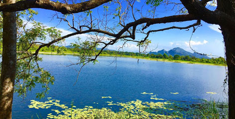 Tours in Sri Lanka - Sri Lanka tailor made holidays