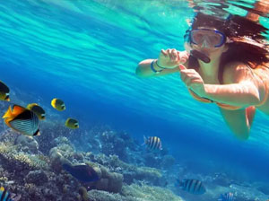 Tours in Sri Lanka - Sri Lanka tailor made holidays