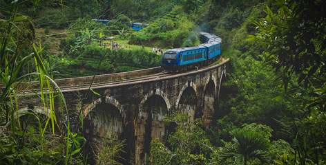 Tours in Sri Lanka - Sri Lanka tailor made holidays
