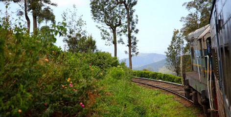 Tours in Sri Lanka - Sri Lanka tailor made holidays