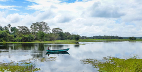 Tours in Sri Lanka - Sri Lanka tailor made holidays