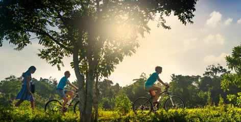 Tours in Sri Lanka - Sri Lanka tailor made holidays