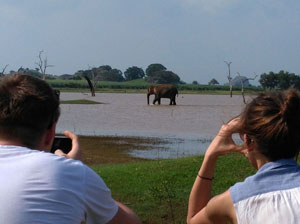 Tours in Sri Lanka - Sri Lanka tailor made holidays