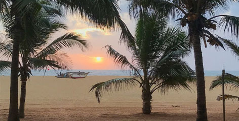 Tours in Sri Lanka - Sri Lanka tailor made holidays