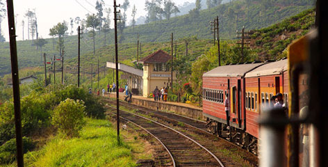 Tours in Sri Lanka - Sri Lanka tailor made holidays