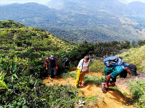 Tours in Sri Lanka - Sri Lanka tailor made holidays