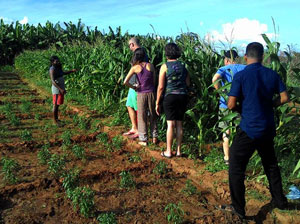 Tours in Sri Lanka - Sri Lanka tailor made holidays