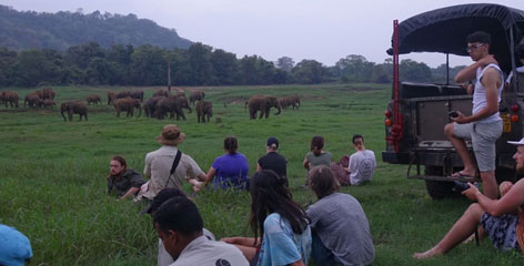 Tours in Sri Lanka - Sri Lanka tailor made holidays