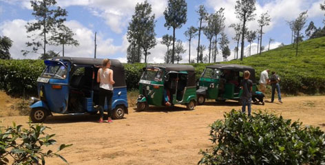 Tours in Sri Lanka - Sri Lanka tailor made holidays