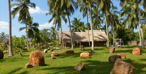 Tours in Sri Lanka - Sri Lanka tailor made holidays