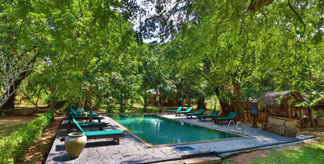 Tours in Sri Lanka - Sri Lanka tailor made holidays