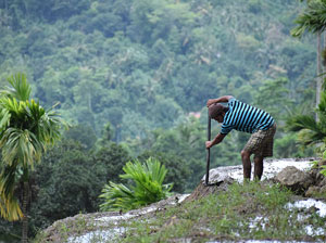 Tours in Sri Lanka - Sri Lanka tailor made holidays