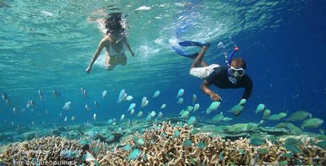 Tours in Sri Lanka - Sri Lanka tailor made holidays