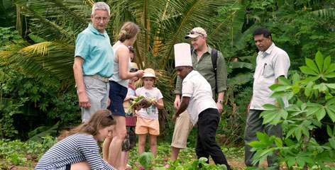 Tours in Sri Lanka - Sri Lanka tailor made holidays