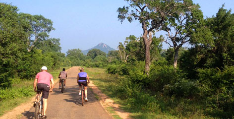 Tours in Sri Lanka - Sri Lanka tailor made holidays