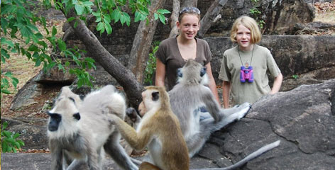 Tours in Sri Lanka - Sri Lanka tailor made holidays
